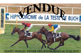 Voir_Photos