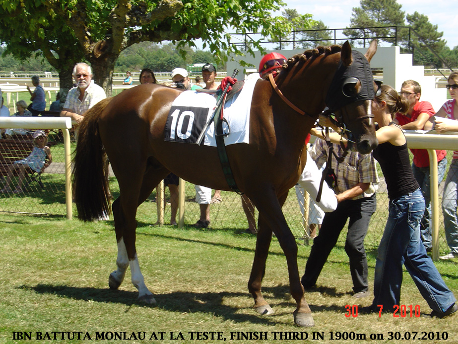 Ibn Battuta
