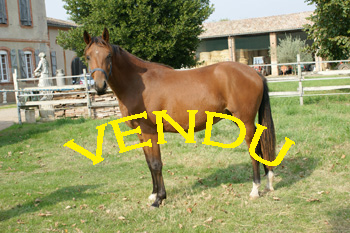 cliquer_pour_voir_photos