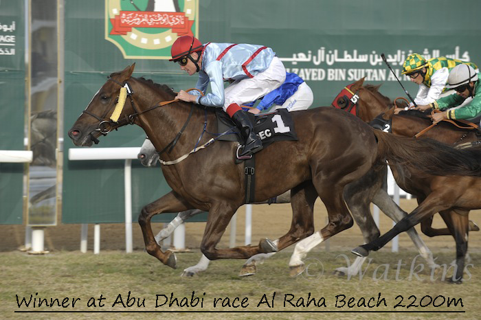 Ibn Battuta